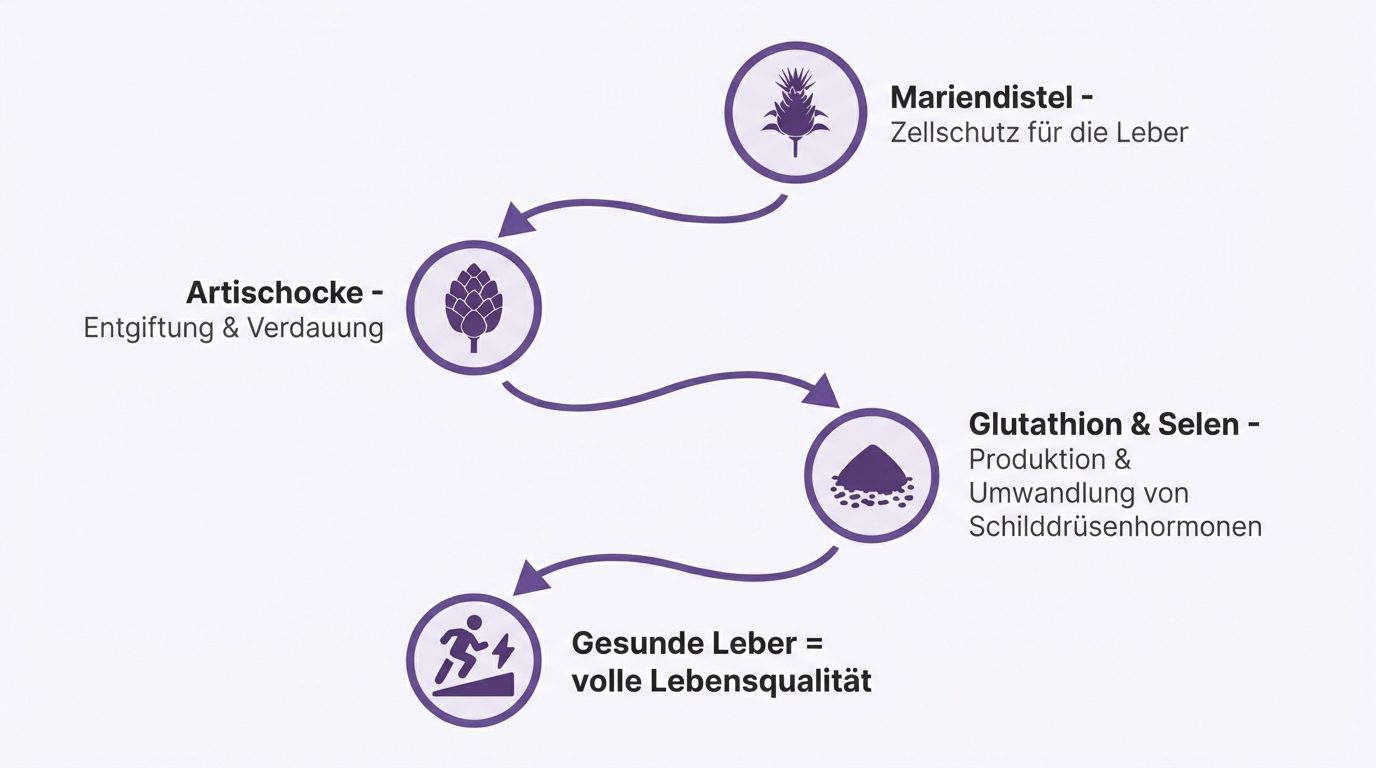 Zusammenfassung