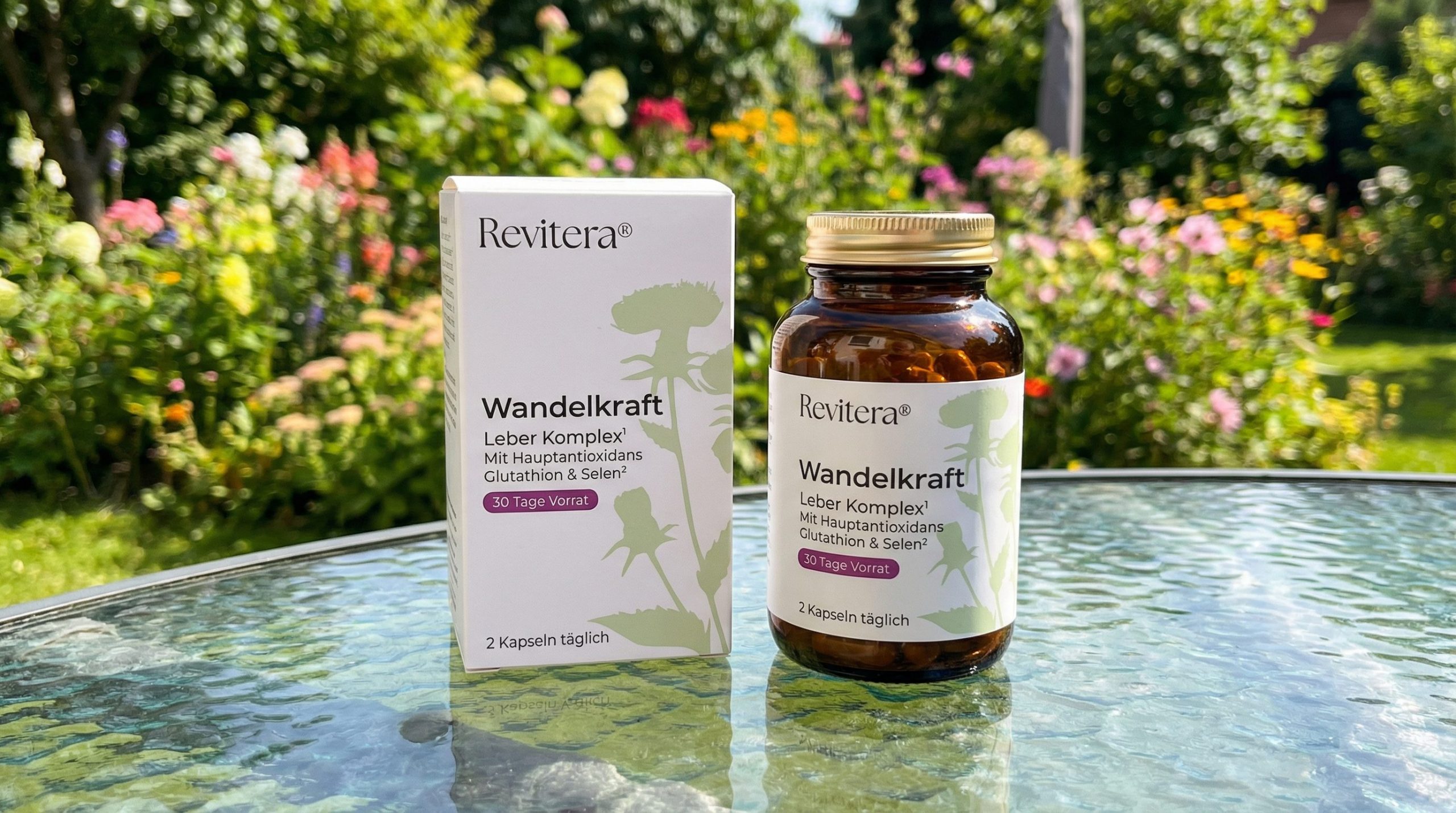 Wandelkraft - das Glas mit Verpackung